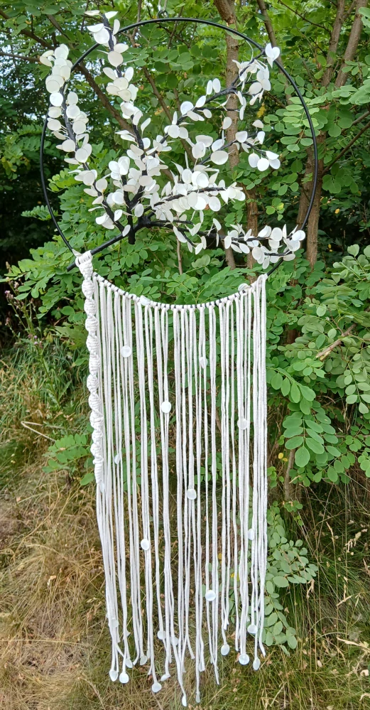 Lapač "Lunaria annua"