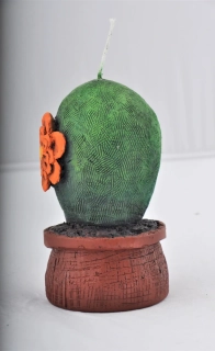 Svíčka "Kaktus"